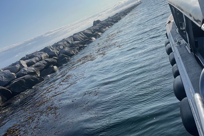Long Beach Glass Bottom Boat Eco-Tour - Is $30 a fair price?