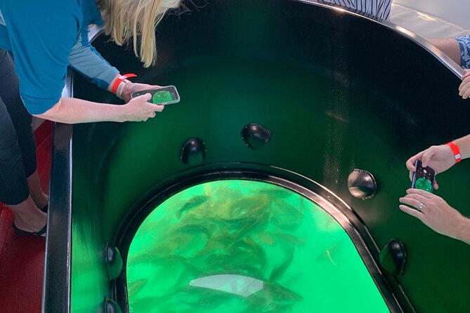 Long Beach Glass Bottom Boat Eco-Tour - Who will enjoy this ride most?