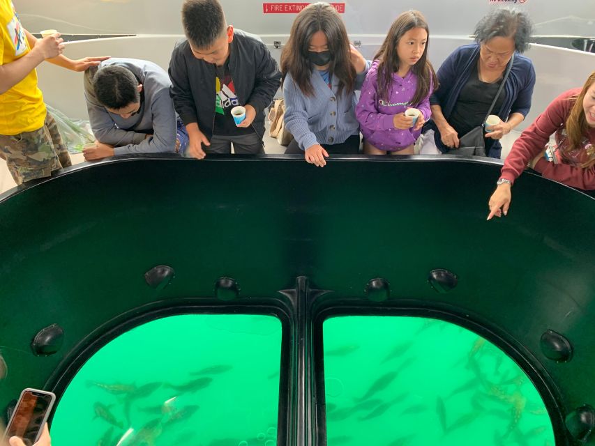 Long Beach: Glass Bottom Boat Harbor Ecotour - Fish, seals, and sea lions below the surface