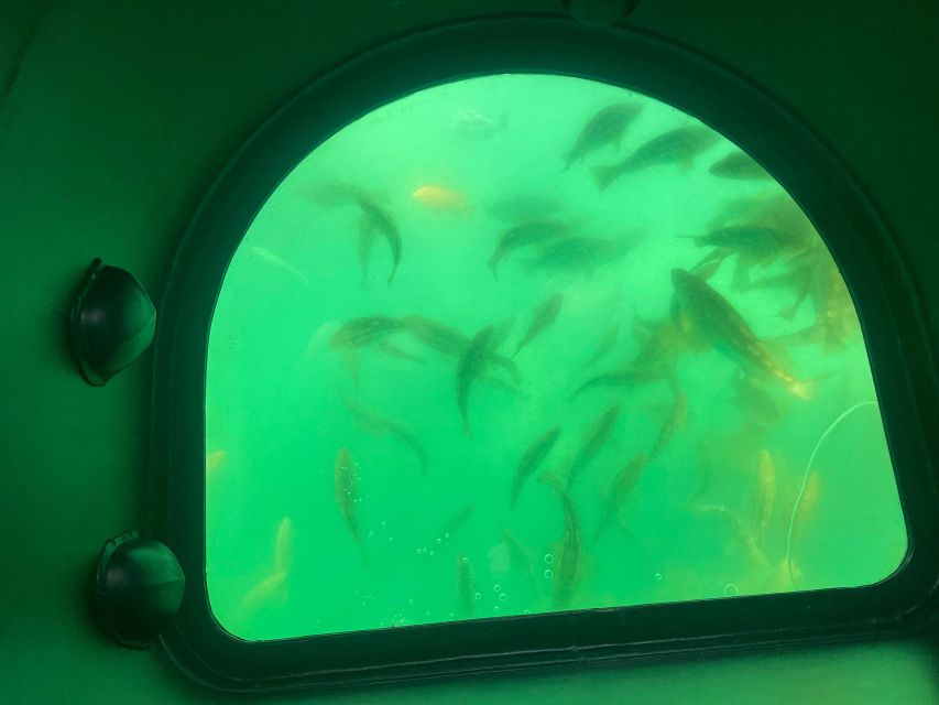Long Beach: Glass Bottom Boat Harbor Ecotour - Views of the marina, port, and Queen Mary