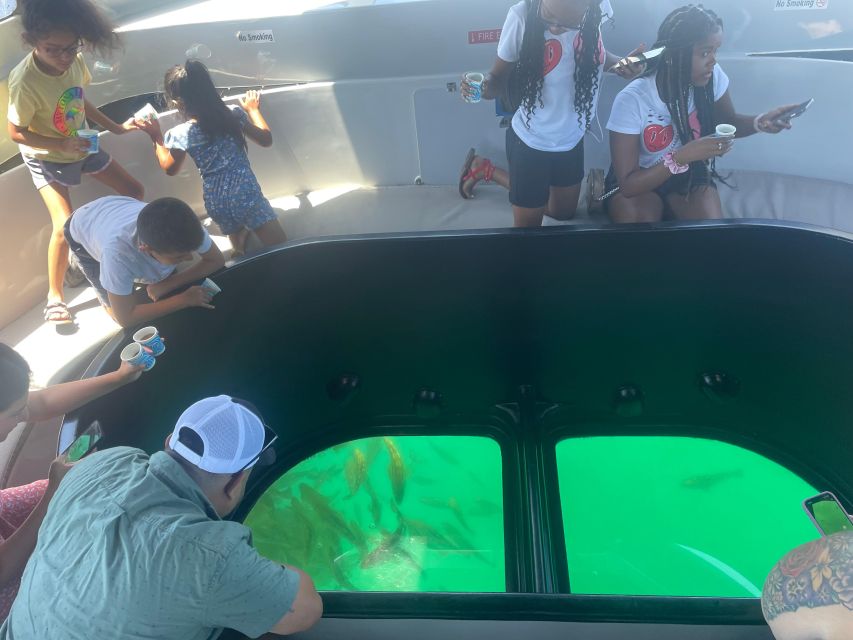Long Beach: Glass Bottom Boat Harbor Ecotour - What the hour is likely to feel like