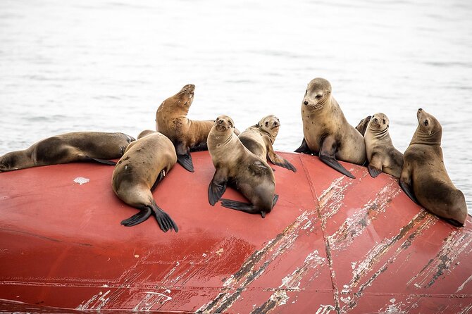 Long Beach Harbor 45-Minute Boat Tour - Key points before you board