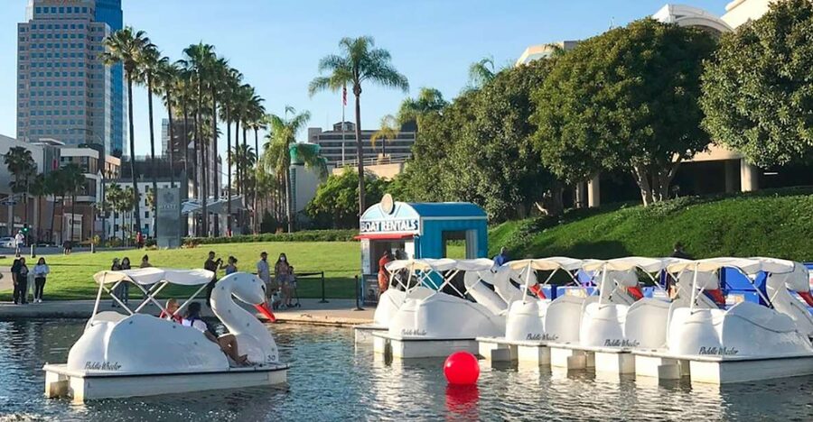Long Beach: Swan Boat Rental at Rainbow Lagoon - Pedaling beneath Long Beach’s whale mural