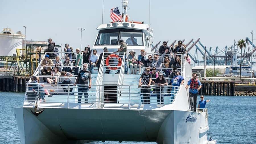 Long Beach: Whale and Dolphin Watching Cruise - What to wear and bring