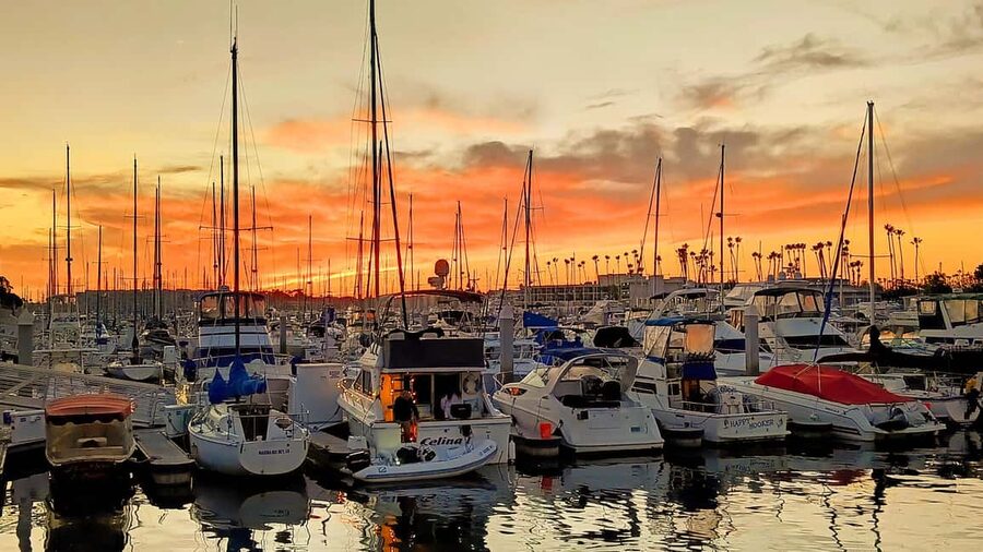 Los Angeles #1: Luxury Boat Cruise-Wine, Cheese & Sea Lions - A quiet way to see Marina del Rey