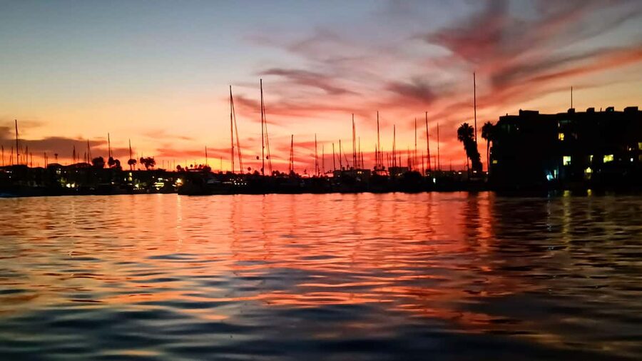 Los Angeles #1: Luxury Boat Cruise-Wine, Cheese & Sea Lions - Wine, charcuterie, and the fine print on food