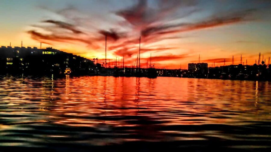 Los Angeles #1: Luxury Boat Cruise-Wine, Cheese & Sea Lions - Shared or private: choosing the right format