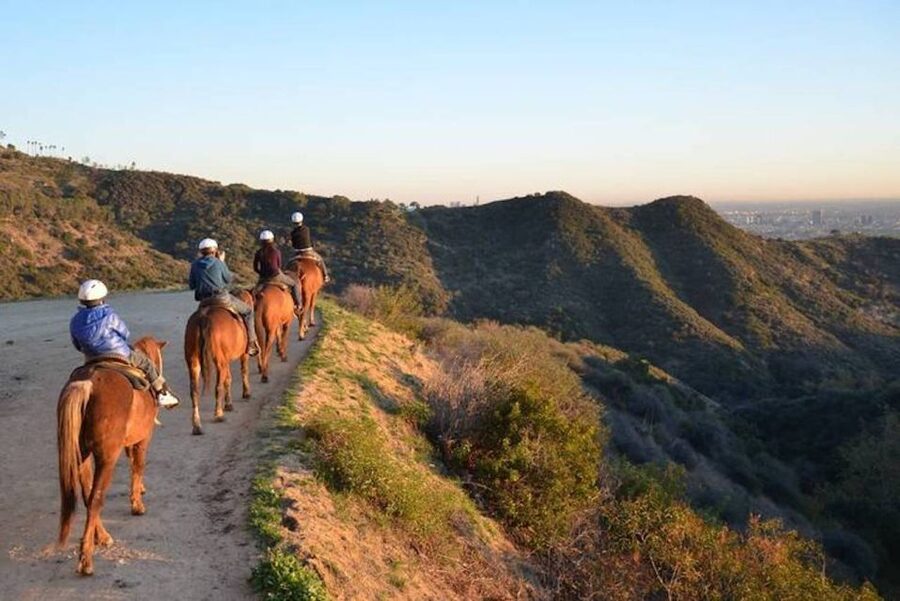 Los Angeles: 2-Hour Hollywood Trail Horseback Riding Tour - Meeting the horses and getting ready