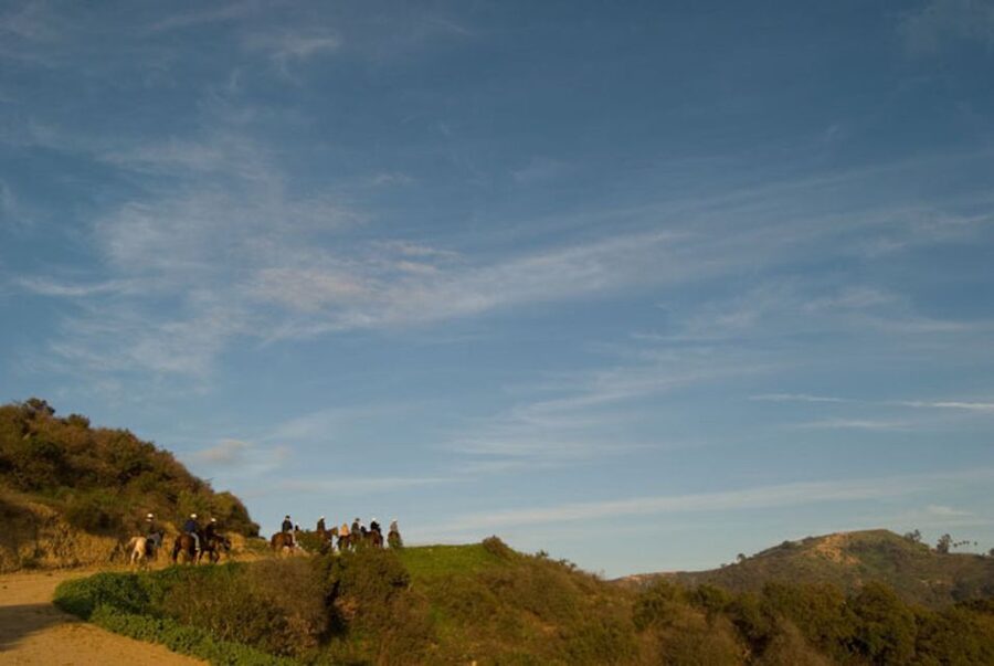 Los Angeles: 2-Hour Hollywood Trail Horseback Riding Tour - The Hollywood sign, observatory, and downtown views