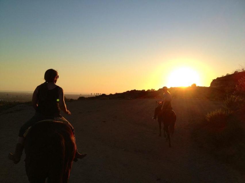 Los Angeles: 2-Hour Hollywood Trail Horseback Riding Tour - Horses, guides, and the human side of the ride