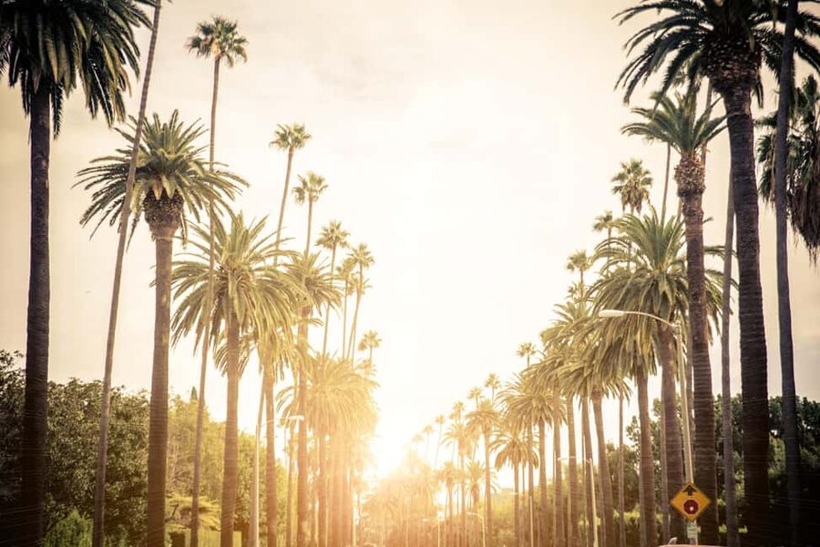 Los Angeles 4-Hour Private Tour: Beverly Hills & More - Sunset Strip and West Hollywood after dark