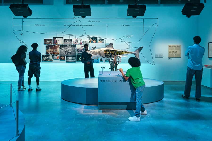 Los Angeles: Academy Museum of Motion Pictures Ticket - Key points before you go