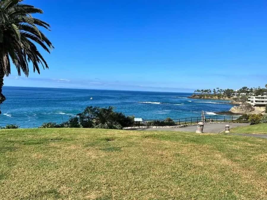 Los Angeles: Best Beaches Tour from Anaheim - Should You Add the Newport Harbor Cruise?