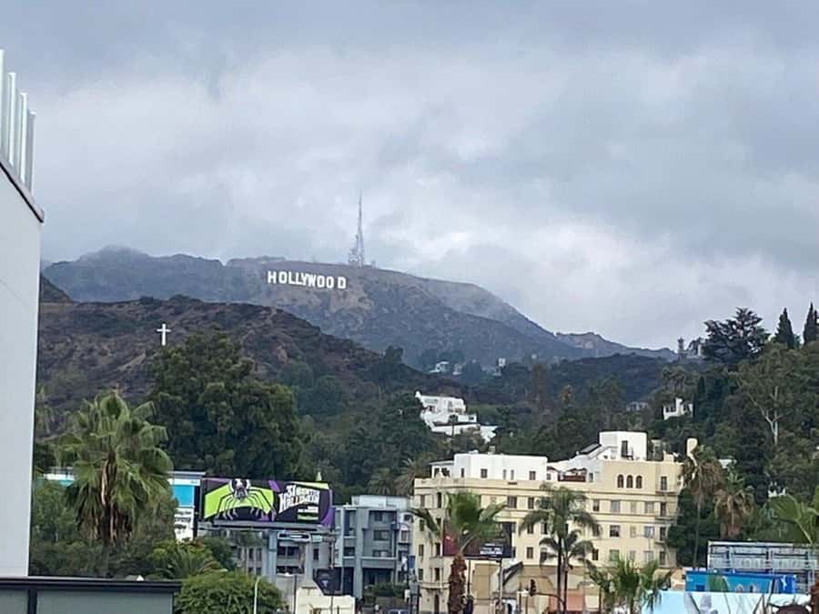 Los Angeles: City Highlights Tour From Cruise Port - Hollywood Boulevard in a concentrated 45 minutes