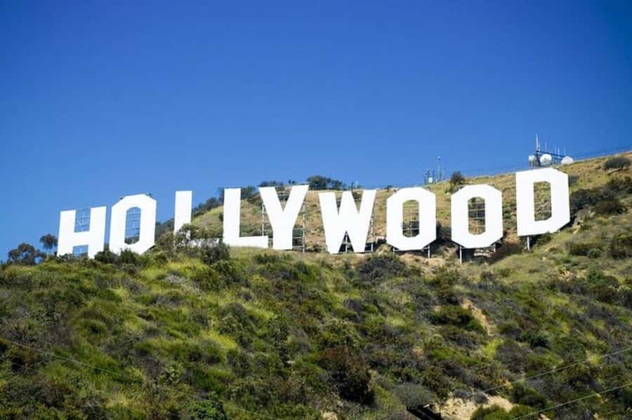 Los Angeles: City Highlights Tour From Cruise Port - Starting at the Coliseum and crossing Downtown LA