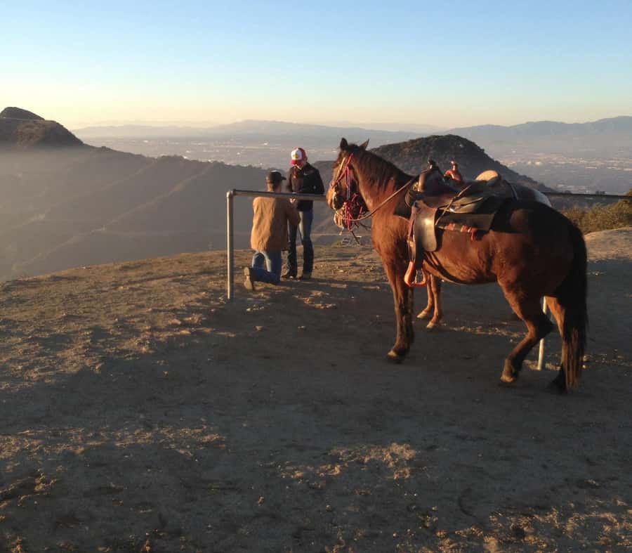 Los Angeles: Evening 2-Hour Hollywood Horseback Riding Tour - Key points at a glance