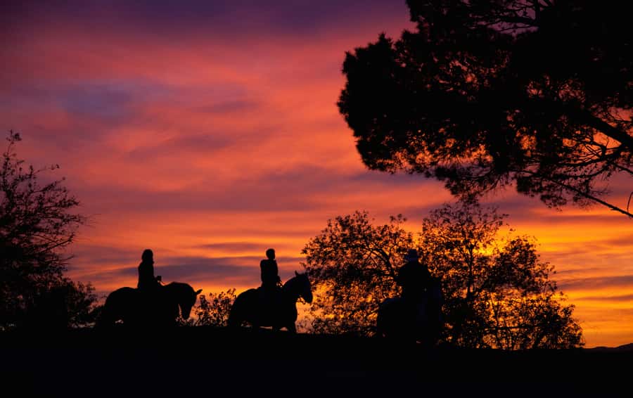 Los Angeles: Evening 2-Hour Hollywood Horseback Riding Tour - Why this Hollywood ride is different