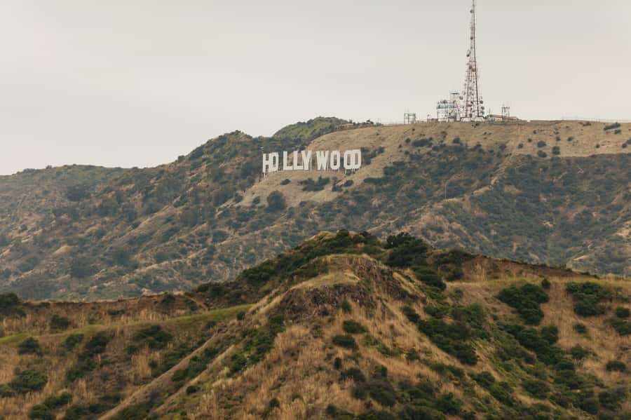 Los Angeles: Half-Day Best of LA Tour - Griffith Observatory and the Hollywood Sign