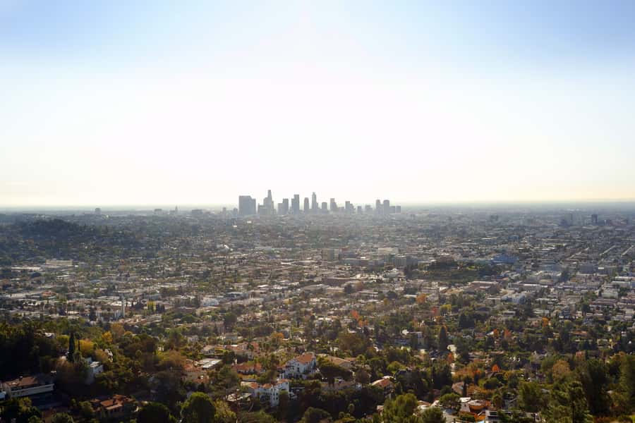 Los Angeles, Hollywood, & Beverly Hills Afternoon City Tour - Why the Small Group and Guides Matter