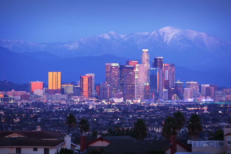 Los Angeles, Hollywood, & Beverly Hills Afternoon City Tour - The $86 Price: Good Value for a First Look