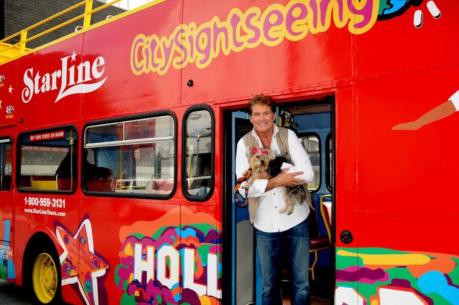 Los Angeles: Hop-On Hop-Off Bus Tour with Audio Guide - The practical problems: traffic, stops, and weather