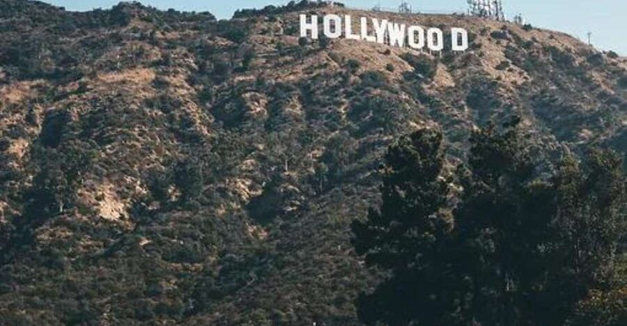 Los Angeles: L.A. Highlights in One Day Guided Experience! - What the four-person group changes