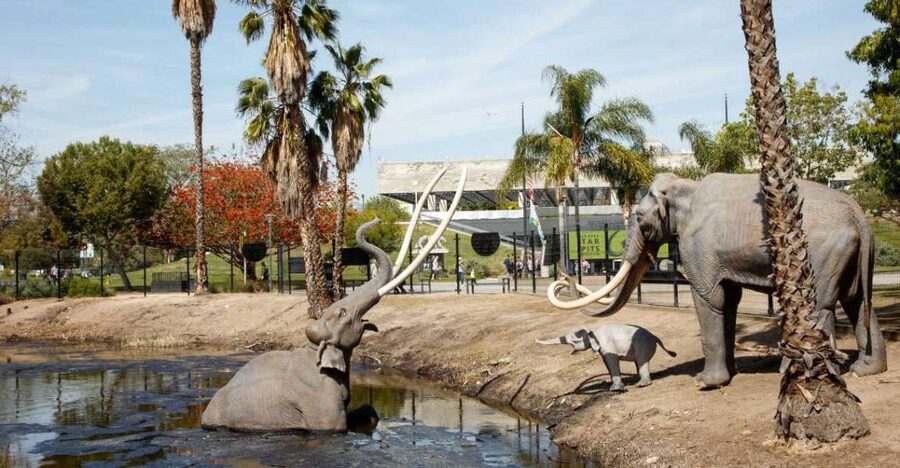 Los Angeles: La Brea Tar Pits Museum Ticket - Key points to know before you go