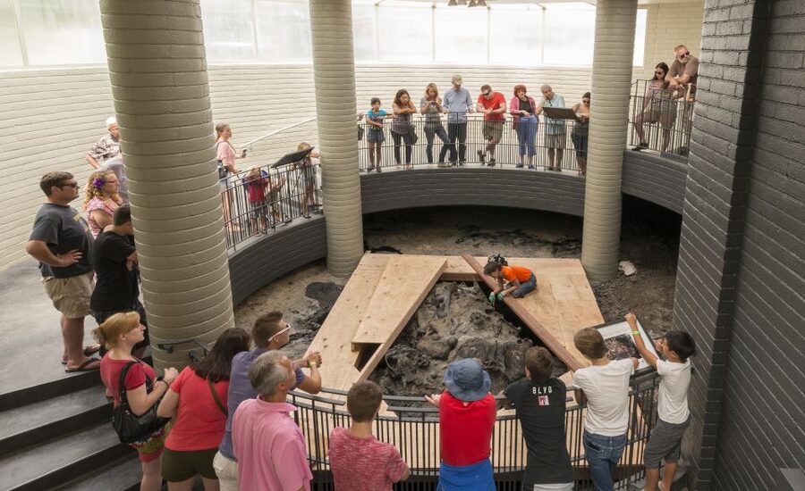 Los Angeles: La Brea Tar Pits Museum Ticket - Practical details that make the visit easier