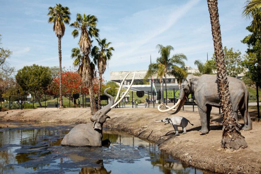 Los Angeles: La Brea Tar Pits Museum Ticket - Why La Brea feels so unusual in Los Angeles