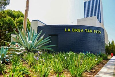 La Brea Tar Pits Museum Ticket
