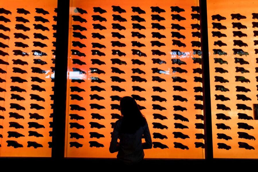 Los Angeles: La Brea Tar Pits Museum Ticket - The Fossil Lab puts the scientists in view