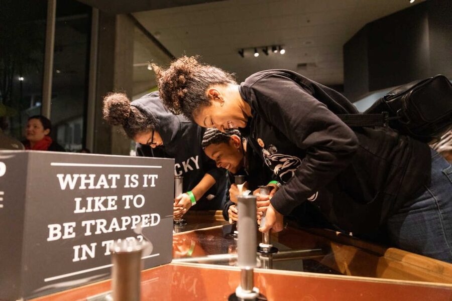Los Angeles: La Brea Tar Pits Museum Ticket - The museum ticket: good value, with one important catch