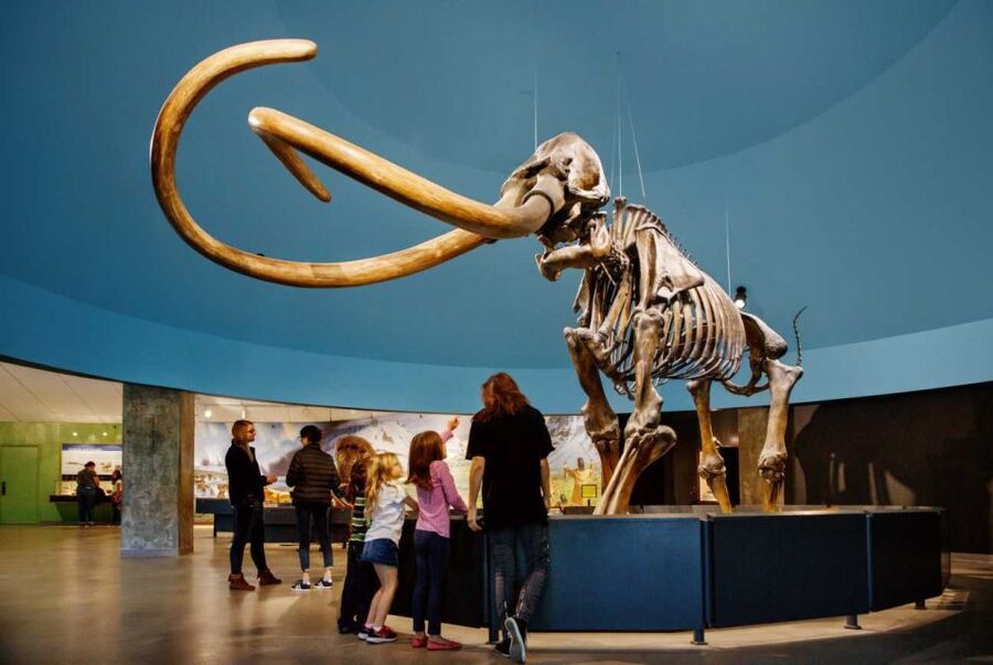 Los Angeles: La Brea Tar Pits Museum Ticket - How much time should you allow?