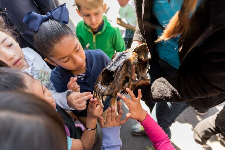 Los Angeles: La Brea Tar Pits Museum Ticket - Is it good for children and adults?