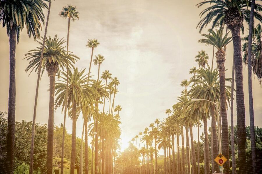Los Angeles: LA in a Day Guided Electric Bike Tour - Lunch near Muscle Beach and the Venice skate park