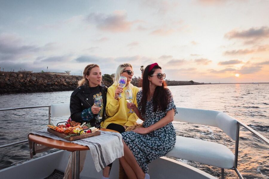 Los Angeles: Luxury Cruise with Wine, Cheese & Sea Lions - Sea lions, birds, and the pleasure of watching slowly