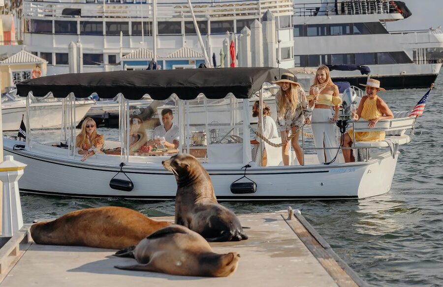 Los Angeles: Luxury Cruise with Wine, Cheese & Sea Lions - Boarding the Duffy boat and settling in