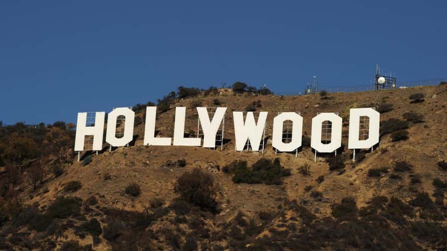 Los Angeles: Luxury Privet Tour - Malibu, Downtown, Laguna Beach, and Huntington Beach