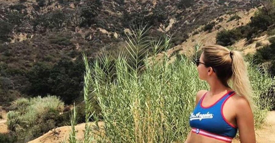 Los Angeles: Private Half Day City Tour - Finding the Hollywood Sign without a long hike