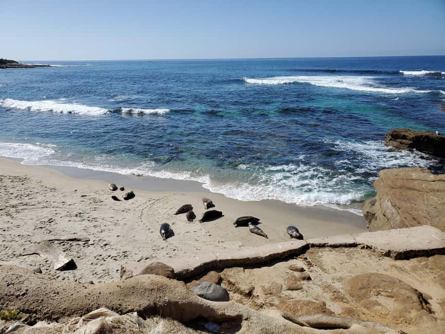 Los Angeles: private tour to San Diego - Timing, meals, tickets, and useful planning