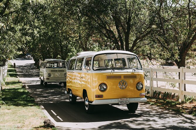 Los Angeles: Private Vintage VW Bus Tour in Malibu - Vineyard stops and Malibu wine
