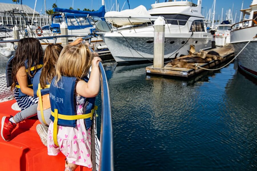 Los Angeles: Redondo Beach Glass Bottom Boat Cruise - Key details before you book