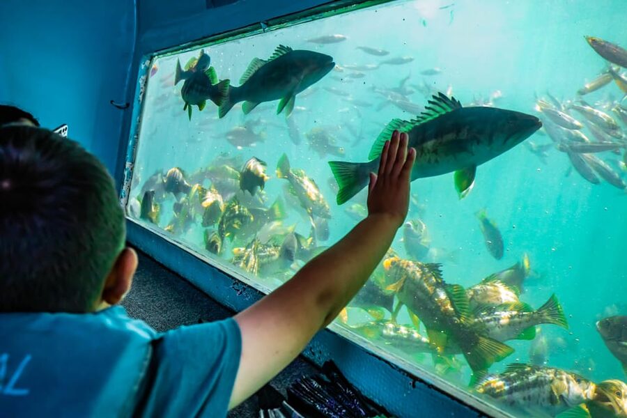 Los Angeles: Redondo Beach Glass Bottom Boat Cruise - Finding the dock without wasting 30 minutes