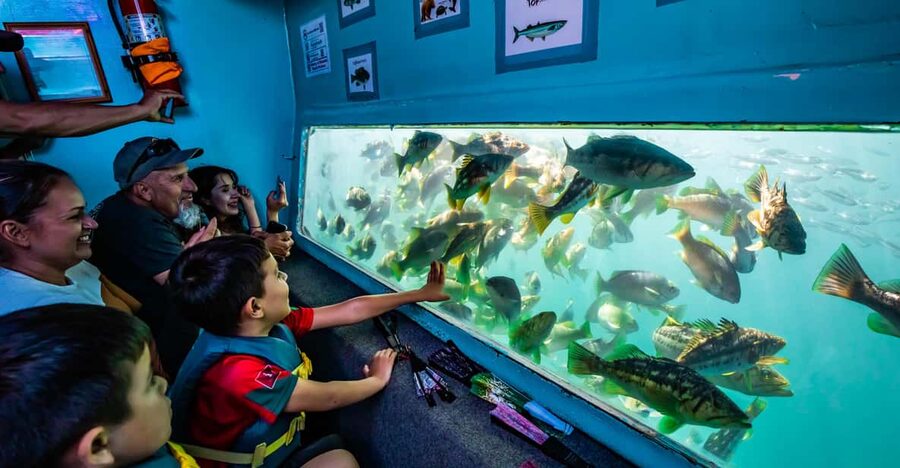 Los Angeles: Redondo Beach Glass Bottom Boat Cruise - What you may see on the water