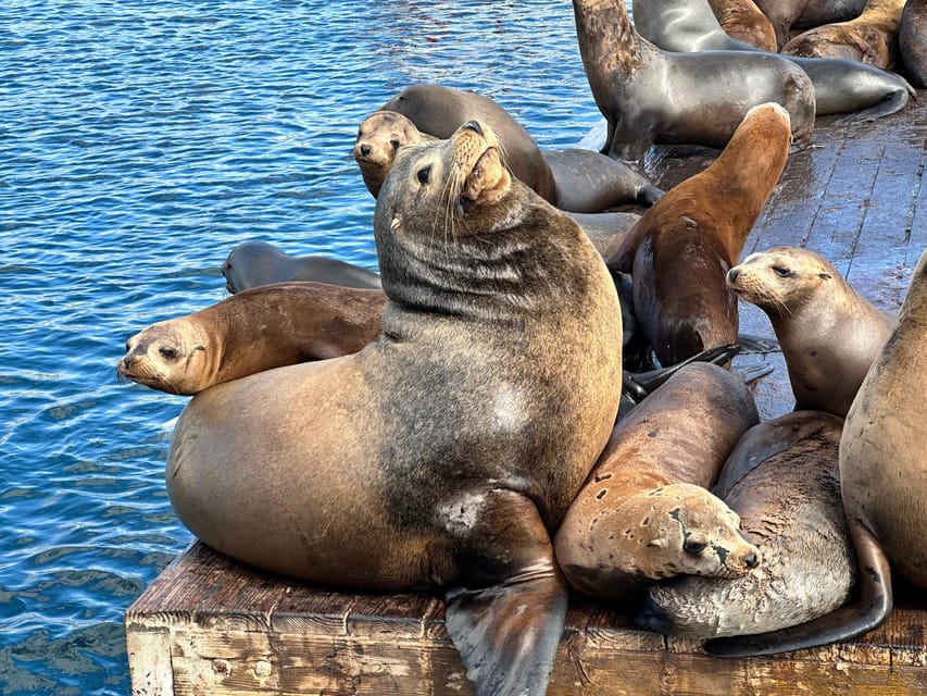 Los Angeles: Redondo Beach Glass Bottom Boat Cruise - Comfort, rules, and access