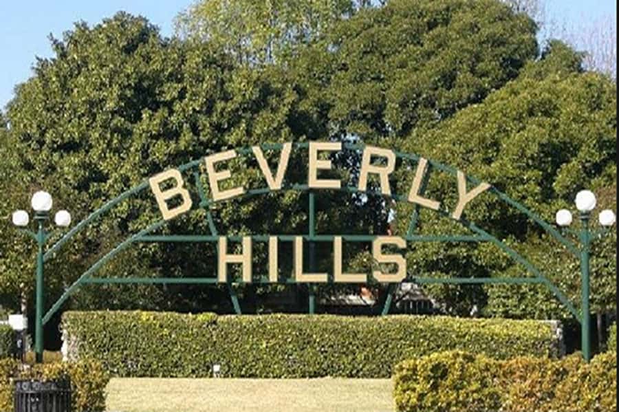 Los Angeles Sightseeing Tour: From Anaheim & Buena Park - Beverly Hills and Rodeo Drive
