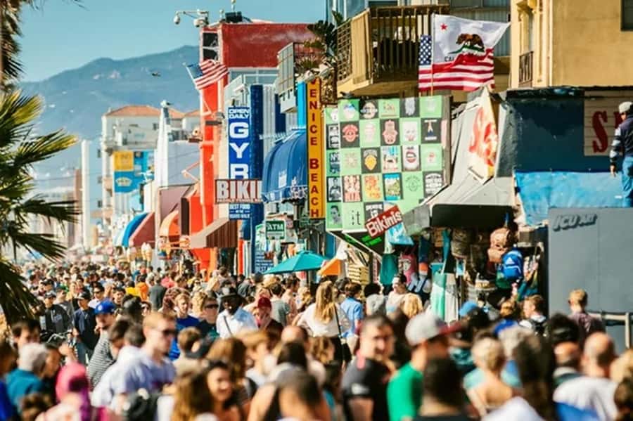 Los Angeles Sightseeing Tour: From Anaheim & Buena Park - Venice Beach and Muscle Beach