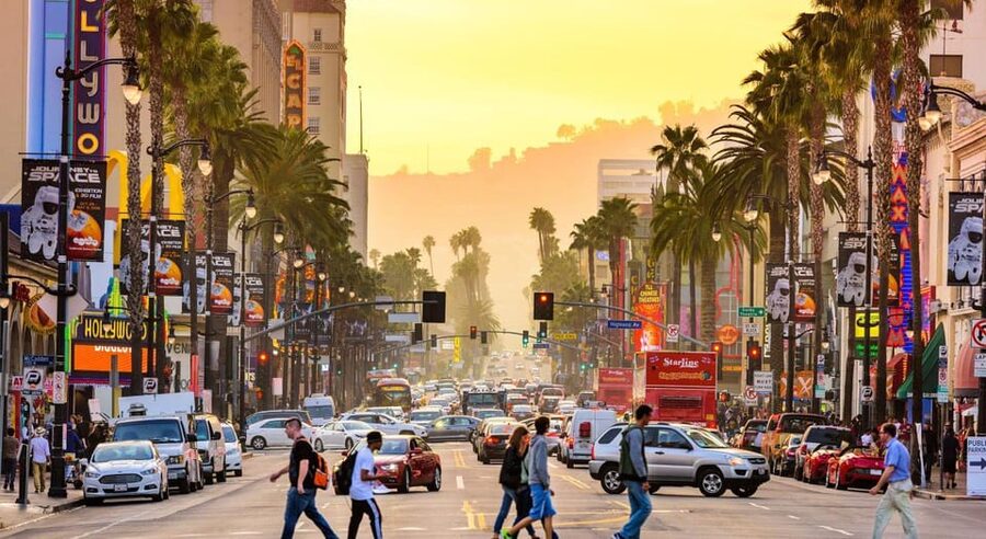 Los Angles: Private Customized Day Tour with Driver - Downtown Los Angeles on your own terms