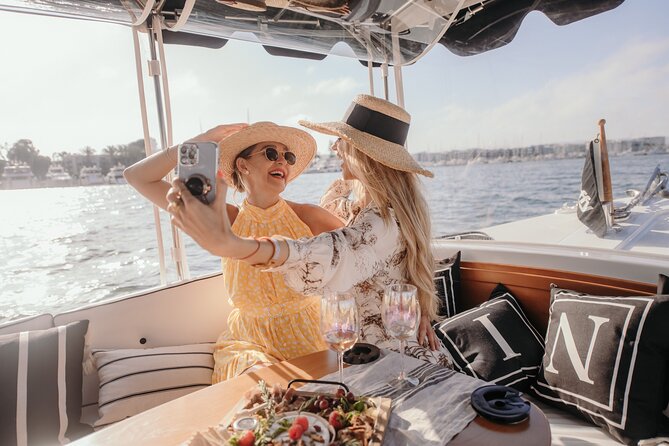 Luxury Shared E-Boat Cruise with Wine, Charcuterie & Sea Lions Spotting - Is $119 a Fair Price?
