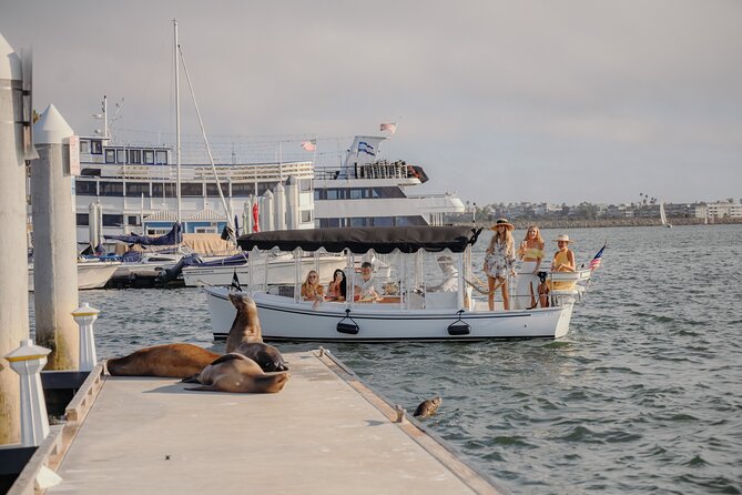 Luxury Shared E-Boat Cruise with Wine, Charcuterie & Sea Lions Spotting - Who Will Enjoy This Cruise Most?